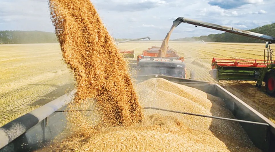 Russia says Ukraine grain export deal 'ended'