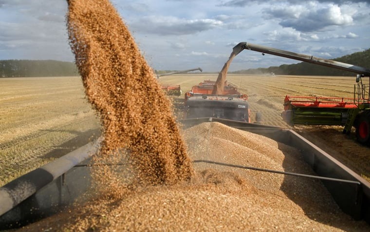 Russia's withdrawal from the grain deal: how global grain prices are falling