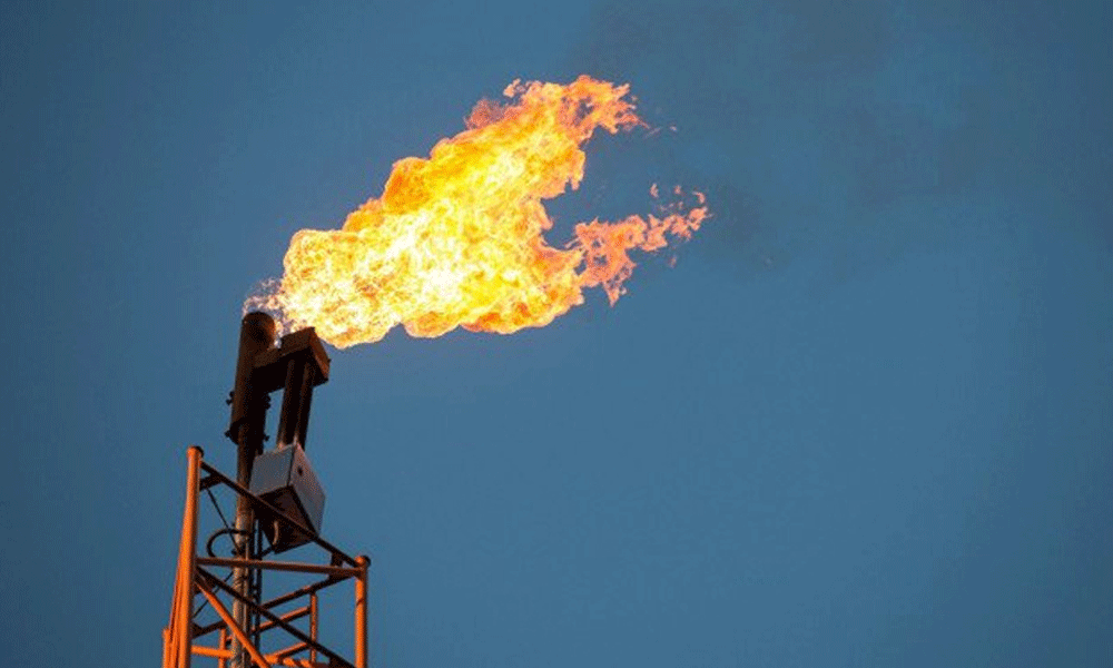 Gas extraction and supply deals with 4 foreign companies halted