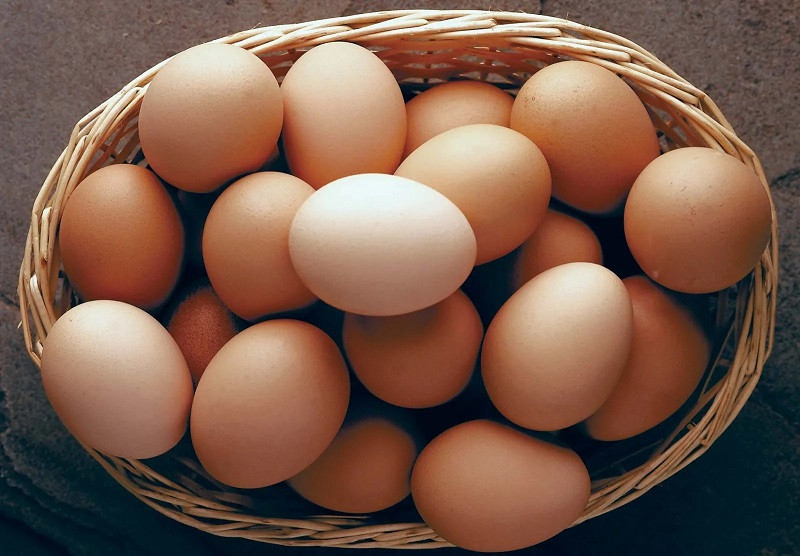2.31 lakh eggs imported from India