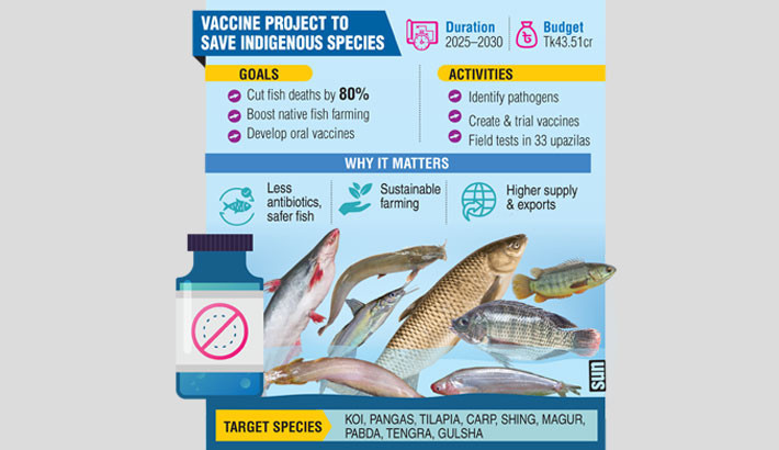 Govt launches Tk43.5cr project to develop fish vaccines