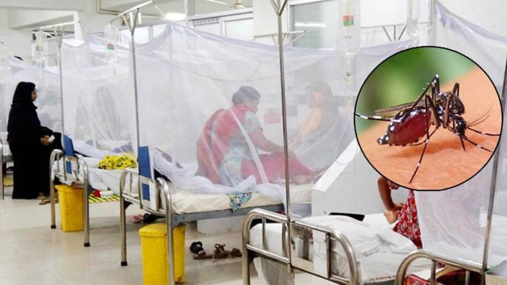 Five die of dengue, 668 hospitalised in 24hrs